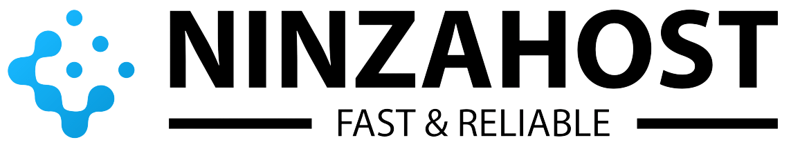 Ninzahost Review